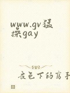 www.gv猛操gay