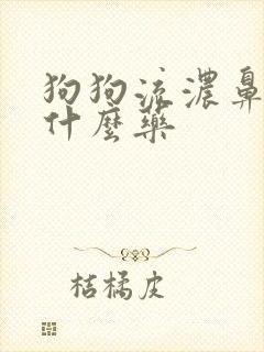 狗狗流浓鼻涕吃什么药