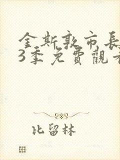 金斯敦市长 第3季免费观看完整版在线全集封面