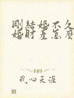 刚结婚不久就离婚财产怎么分