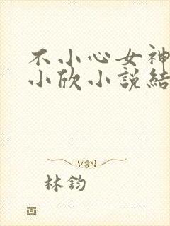 不小心女神女友小欣小说结局