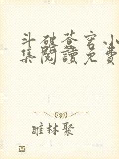 斗破苍穹小说全集阅读免费阅读封面