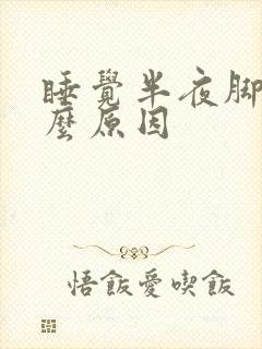 睡觉半夜脚凉什么原因