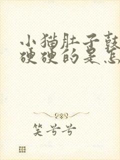 小猫肚子鼓鼓的硬硬的是怎么回事