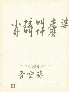 小孩叫老婆的哥哥叫什么