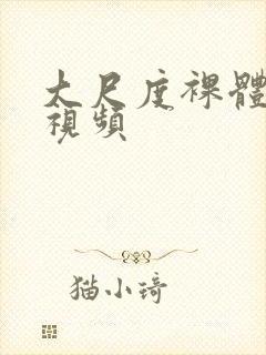 大尺度裸体写真视频