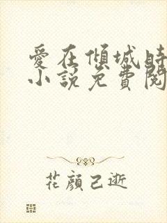 爱在倾城时光里小说免费阅读