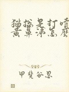 猫总是打喷嚏流黄鼻涕怎么回事