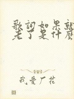 歌词如果就这么老了是什么歌