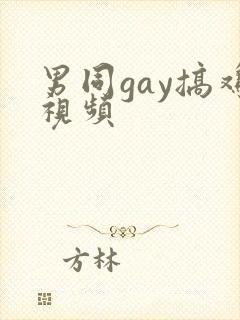 男同gay搞鸡视频