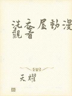 洗衣屋动漫免费观看