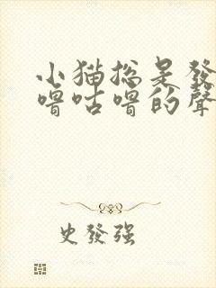 小猫总是发出咕噜咕噜的声音