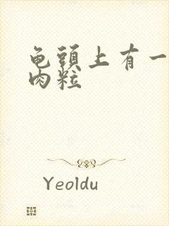 龟头上有一个小肉粒