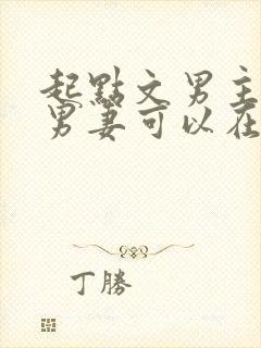 起点文男主沦为男妻可以在哪看小说封面