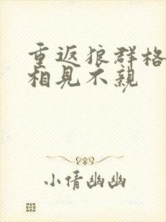 重返狼群格林2相见不亲