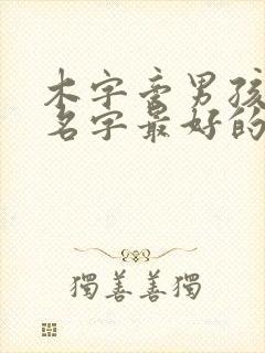 木字旁男孩子取名字最好的字