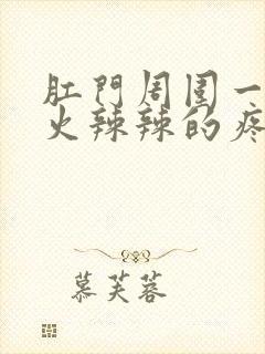 肛门周围一摸就火辣辣的疼