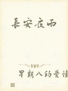 长安夜雨