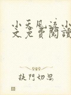 小天风流小说全文免费阅读无弹窗下封面