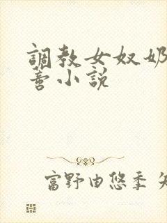 调教女奴奶头阴蒂小说