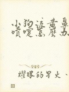 小狗流黄鼻涕打喷嚏怎么办