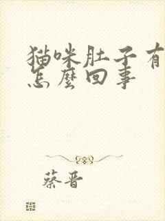 猫咪肚子有硬块怎么回事