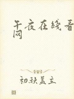 午夜在线看成人网
