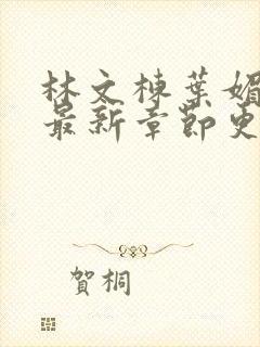 林文栋叶媚小说最新章节更新免费阅读