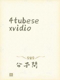 4tubesexvidio封面