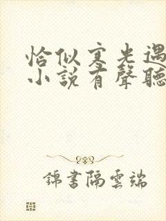 恰似寒光遇骄阳小说有声听书免费