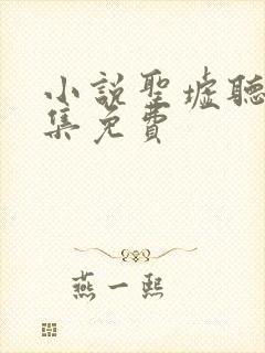 小说圣墟听书全集免费