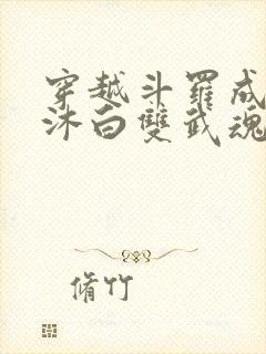 穿越斗罗成为戴沐白双武魂的小说