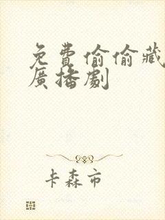 免费偷偷藏不住广播剧