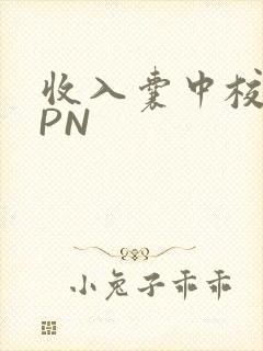 收入囊中校园HPN封面