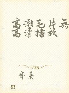 高潮毛片无遮挡高清播放