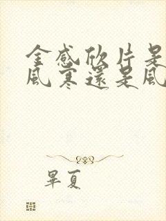 金感欣片是治疗风寒还是风热感冒封面