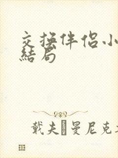 交换伴侣小说大结局