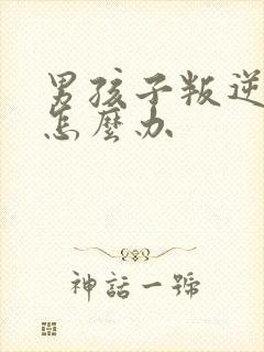 男孩子叛逆期时怎么办封面