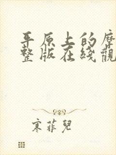 平原上的摩西完整版在线观看封面