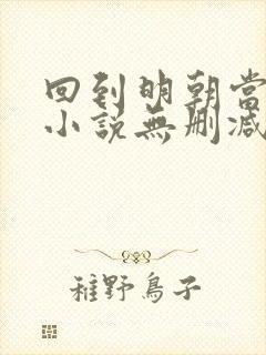 回到明朝当王爷小说无删减版封面