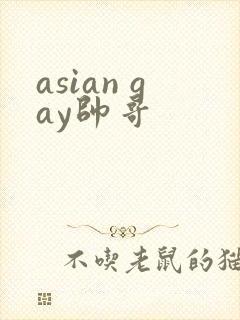 asian gay帅哥