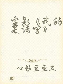 电影《我的姐姐是法官》