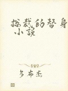 总裁的替身甜妻 小说