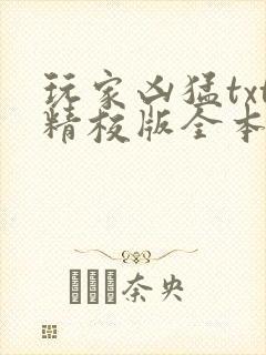 玩家凶猛txt精校版全本下载