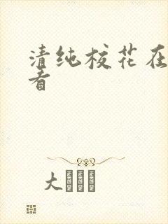 清纯校花在线观看