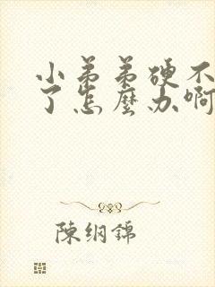 小弟弟硬不起来了怎么办啊