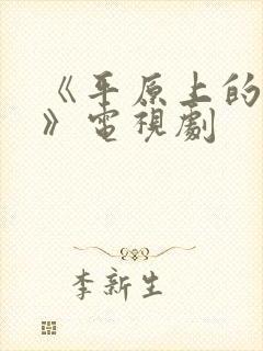 《平原上的摩西》电视剧