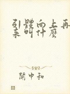 引体向上再撑起来叫什么