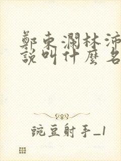 郑东澜林沛沛小说叫什么名字