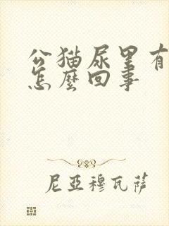 公猫尿里有血是怎么回事